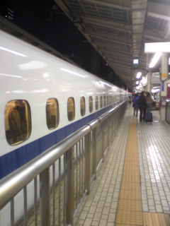 東京駅ホーム２.jpg